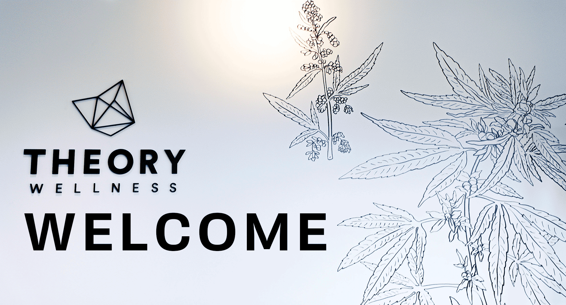 Theory Wellness - Welcome Recreational Cannabis Maine